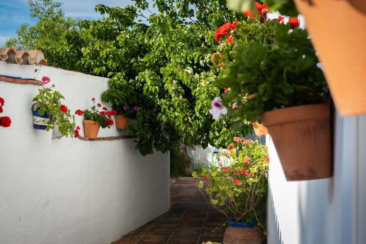 Hostal Cabo Roche Conil De La Frontera Eksteriør bilde